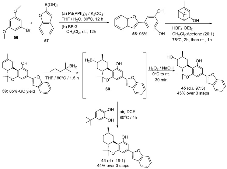 Synthesis of (−)-machaeriol B (44) and (−)-machaeriol D (45) developed by Studer [38] using lewis acids, palladium catalysts, boronic reagents, and base/peroxides.