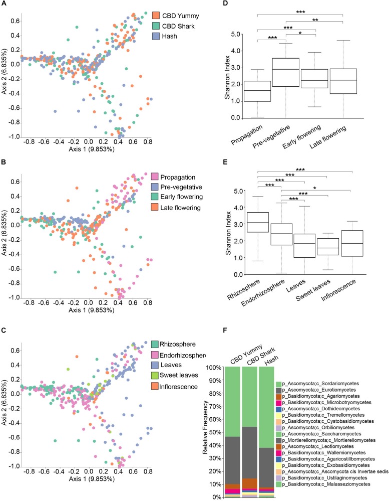 Diversity metrics and taxonomical differences in the fungal microbiome of cannabis. (A). PCoA plot representative of inter-cultivar beta-diversity utilizing Bray–Curtis dissimilarity among samples (PERMANOVA: R2 = 0.013, p = 0.001). Each point represents a sample (CBD Yummy, n = 130; CBD Shark, n = 130; Hash, n = 130). (B). PCoA plot representative of temporal beta-diversity utilizing Bray–Curtis dissimilarity among samples (PERMANOVA: R2 = 0.080, p = 0.001). Each point represents a sample (Propagation, n = 60; Pre-vegetative, n = 90; Early flowering, n = 90; Late flowering, n = 150). (C). PCoA plot representative of spatial beta-diversity utilizing Bray–Curtis dissimilarity among samples (PERMANOVA: R2 = 0.091, p = 0.001). Each point represents a sample (Rhizosphere, n = 90; Endorhizosphere, n = 120; Leaves, n = 120; Sweet leaves, n = 30; Inflorescence, n = 30). For all PcoA plots, axis 1 and axis 2 represent the percentage of variance explained by each coordinate. (D,E) Alpha-diversity metric (Shannon’s index) of temporal and spatial variations amongst groups, respectively. Kruskal–Wallis pair-wise test was used to assess statistical significance between groups (***p < 10e-04,**p < 0.001,*p < 0.05; only statistically significant values are shown, non-significant groups are not represented). (F) Bar plot of the relative frequency of fungal taxa at the phylum and class level in the three chemotypes studied (CBD Yummy, n = 130; CBD Shark, n = 130; Hash, n = 130).