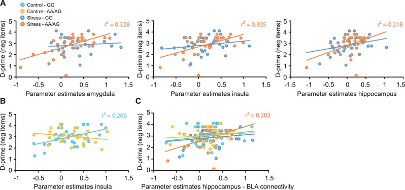Correlations between brain activity during encoding of negative (vs neutral) pictures and emotional memory performance, expressed as sensitivity index d′ for negative pictures. (A) Following the stress manipulation, activity of the amygdala, insula and hippocampus positively correlated with memory performance in stressed AA/AG genotype carriers. (B) In the no-stress control condition, insula activity positively correlated with memory performance in GG genotype allele carriers. (C) Enhanced functional connecitivity of the hippocampus with the BLA during negative (vs neutral) picture encoding was associated with enhanced memory performance for negative pictures only in stressed AA/AG genotype carriers.