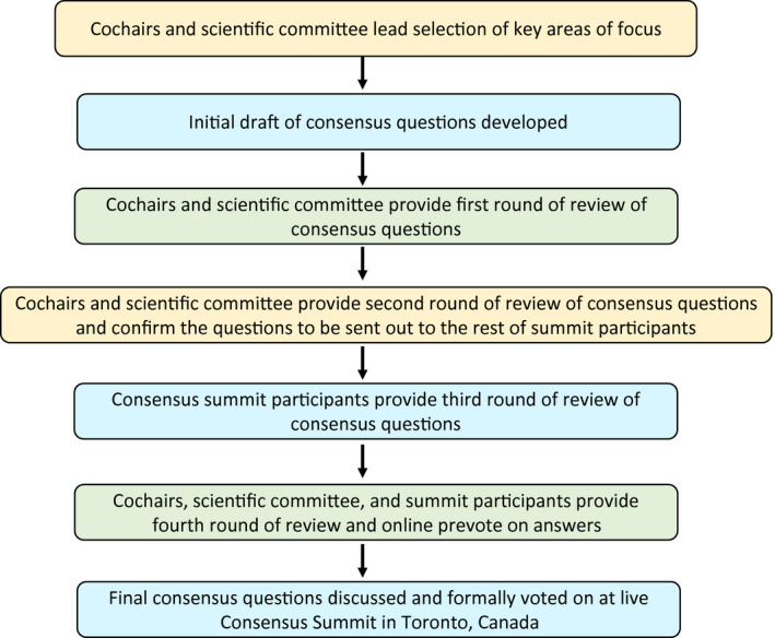 Flow of modified Delphi process
