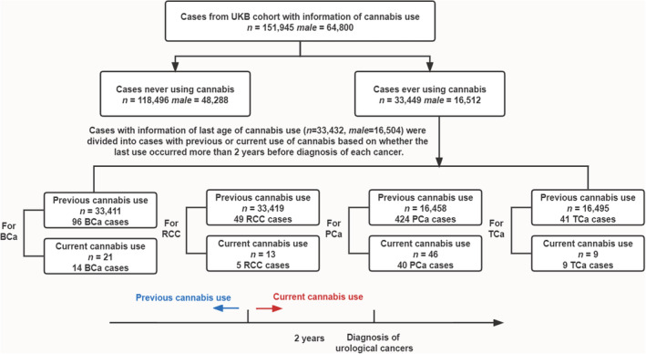 Flowchart showing the composition of the cohort.