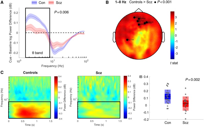 Analysis of sensor-level power in the spatial memory task. (A) Power changes, averaged across all sensors, between the first 1.5 s of the cue and the final 1.5 s of the baseline periods. Differences between groups were apparent at P < 0.0125 (Bonferroni correction for four frequency bands) in the theta band (1–8 Hz, indicated with a box). (B) Scalp plot showing differences in the 1–8 Hz theta band between groups during the same period. Highlighted sensors show significant differences at P < 0.001 (uncorrected). (C) Left: Time frequency plots showing power changes across the sensors highlighted in (B) during the same period following removal of cue period eye movement variance and the average event-related field across all trials. This illustrates the loss of 1–8 Hz theta power (black square) in schizophrenia (Scz) subjects during the cue period. Right: Average 1–8 Hz theta band power changes during the same period across participants following removal of the event-related field and eye movement regression.