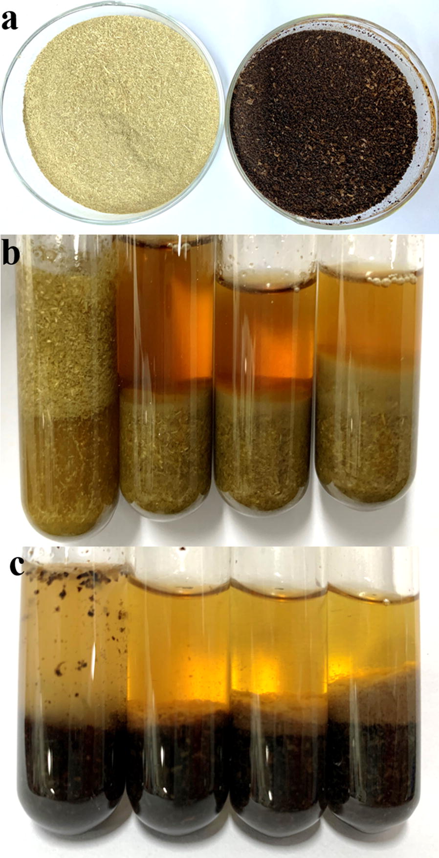 Recombinant enzyme applied in switchgrass and coffee grounds. a Switchgrass (left) and coffee grounds (right) raw materials following oven-drying. b Hydrolyzation of switchgrass by crude enzyme, with (left to right) the control, 10%, 20%, and 40%. c Hydrolyzation of coffee grounds by crude enzyme, with (left to right) the control, 10%, 20%, and 40%