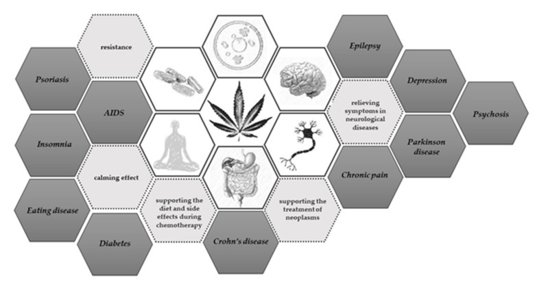 Use of cannabis extract. Hemp in various forms has been tested in the treatment of many neurological, psychological, cancer, viral, and metabolic diseases [11,14,15,16,17].