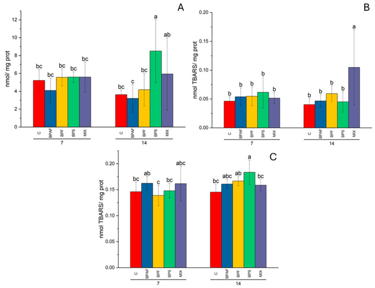 PCC levels in digestive gland (A), expressed as nmol/mg proteins, and LPO levels in digestive gland (B) and in gills (C), expressed as nmol TBARS/mg proteins, in clams fed with bisphenol-exposed microalgae. Different letters indicate significant differences among all treatments. N = 5.
