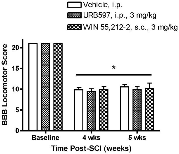 Effects of URB597 and WIN 55,212-2 on BBB Locomotor Scores in SCI rats.Prior to spinal compression surgery (“Baseline”), BBB Locomotor Scores were 21, indicating normal hind limb function. (A Score of “0” indicates no hind limb function.) The mean BBB Locomotor Score obtained the day before initiation of the seven-day treatment procedure (“4 wks” post-SCI) was 9.8±0.4. Spinal cord-injured rats were evaluated again on the sixth day of treatment (“5 wks” post-SCI) and there were no significant changes in BBB Scores. Data presented as mean ± S.E.M. n = 8–10/group. *p<0.05 vs. pre-SCI (Two-way repeated measures ANOVA, Student-Newman-Keuls test).