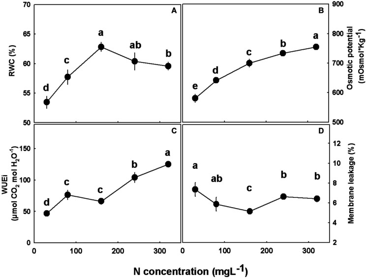 Physiological characteristics of medical cannabis plants. Relative water content (RWC) (A), osmotic potential (B), intrinsic water use efficiency (WUEi) (C), and membrane leakage (D). Presented data are averages ± SE (n = 5). Different small letters above the means represent significant differences between treatments by Tukey HSD test at α = 0.05.