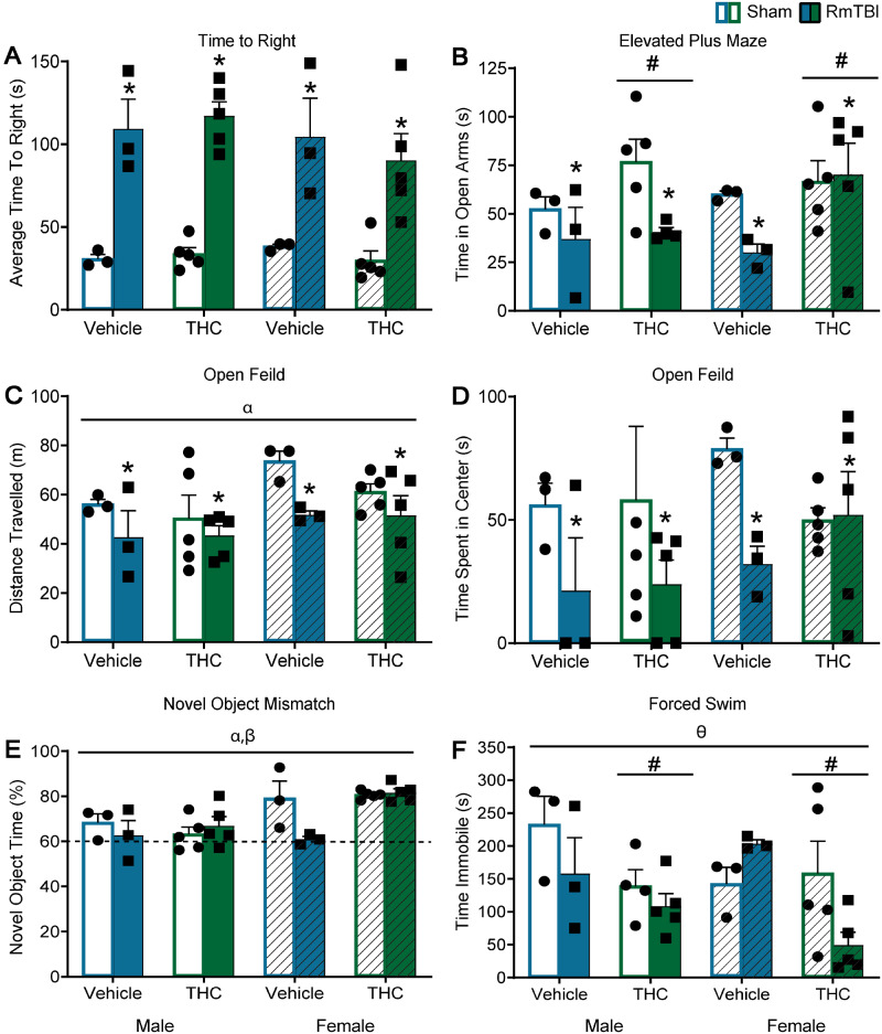 Graphical depictions of the behavioural testing results displayed as mean ± SEM for the post-injury THC administration groups. White and white hashed bars display sham groups (males and females, respectively), while blue and green bars display RmTBI groups. Statistical significance symbols are displayed above the bars (α) indicates a main effect for sex, (*) indicates a main effect for RmTBI, (#) indicates a main effect for THC, (β) indicates a RmTBI by THC interaction and (θ) indicates a sex by RmTBI by THC three-way interaction. (A) The mean time to right following injury or sham procedures. (B) The mean time spent in the open arm of the EPM. (C and D) The mean distance travelled and time spent in the centre of the open field respectively. (E) The percentage of time spent investigating the novel object in the novel context mismatch with the dotted line representing the minimum expected level of recognition (60%). (F) The mean time spent immobile during the forced swim test.