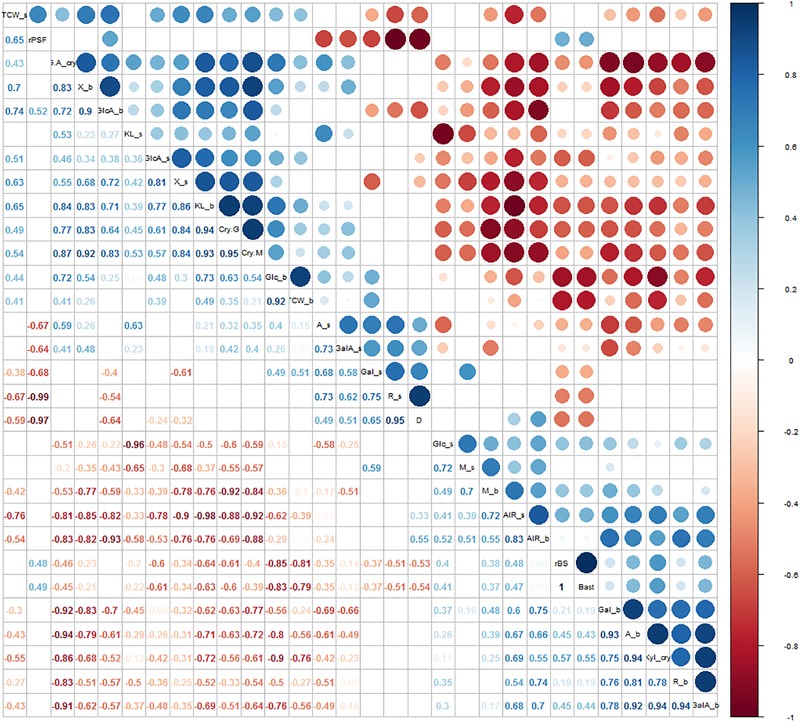 Correlation analysis between morphological parameters and cell wall traits. Significant correlations were set at a confidence level of 0.95 and blank cells represent no significant correlations. A_s = arabinose from the stem; Gal_s = galactose from the stem; GalA_s = galacturonic acid from the stem; Glc_s = glucose from the stem; GlcA_s = glucuronic acid from the stem; M_s = mannose from the stem; R_s = rhamnose from the stem; X_s = xylose from the stem; KL_s = Klason lignin from the stem; TCW_s = total cell wall components from the stem; AIR_s = alcohol insoluble solids fraction from the stem; A_b = arabinose from the bast; Gal_b = galactose from the bast; GalA_b = galacturonic acid from the bast; Glc_b = glucose from the bast; GlcA_b = glucuronic acid from the bast; M_b = mannose from the bast; R_b = rhamnose from the bast; X_b = xylose from the bast; KL_b = Klason lignin from the bast; TCW_b = total cell wall components from the bast; AIR_b = alcohol insoluble solids fraction from the bast; CryG = percentage of crystalline cellulose; CryM = percentage of crystalline mannan; GA_cry = percentage of galacturonic acid in the crystalline cell wall fraction; Xyl_cry = percentage of xylose in the crystalline cell wall fraction; D = diameter; rBS = ratio between bast and WHC; Bast = area of bast; rPSF = ratio between primary bast and secondary bast fiber.