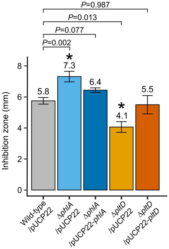 In vitro confrontation assays of Pseudomonas protegens Pf-5-derived strains against Botrytis cinerea mycelium growth. Potato dextrose agar plates containing plugs of B. cinerea mycelium and drops of normalized bacterial suspensions (108 CFU ml−1 in PBS solution) were incubated at 25°C in the dark. Inhibition zones between the bacterial colonies and mycelium growth were measured after 5 days. Means (indicated above each bar) and standard errors are from two independent experiments containing four replicates each (n = 8). Exact p values are indicated for comparisons with wild-type/pUCP22 according to Fisher’s LSD post-hoc analysis with Benjamini-Hochberg correction, * represents p < 0.05.