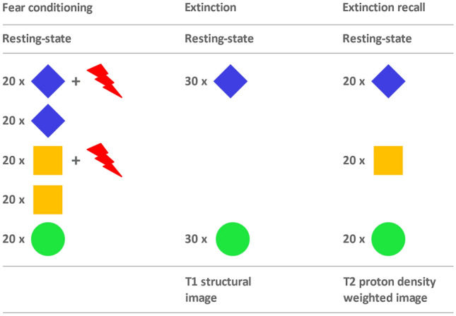 Schematic overview of the experimental setup over 3 days. Blue and yellow depict the conditioned stimuli (CS+a and CS+b), green the neutral stimulus (CS−), and the red arrows represent the unconditioned, unpleasant stimulus (US), heat, applied with a thermal stimulation device on the right shinbone. During fear conditioning (day 1), 20 stimuli of each condition were presented (CS−, CS+a, CS+b, CS+a + US, CS+b + US) at a reinforcement rate of 50% in the case of CS+ + US. During fear extinction (day 2), CS+a and CS− were presented 30 times each. During extinction recall (day 3), the conditions CS−, CS+a (extinguished), and CS+b (unextinguished) were presented 20 times each