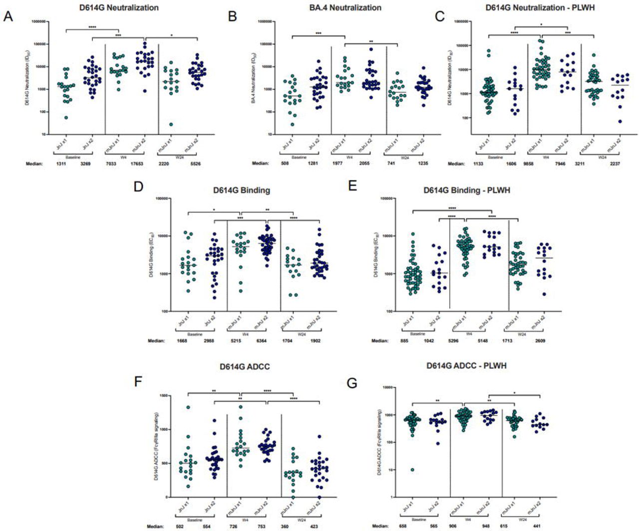 Antibody Response elicited after mRNA-1273 heterologous BoostLegend: Plasma from a subset of participants were assessed to determine the antibody response elicited upon heterologous boost (mJnJ) after 1 Ad26.COV2.S dose (JnJ x1; n=19) or 2 Ad26.COV2.S doses (JnJ x2; n=29). The neutralization activity was measured using a SARS-CoV-2 pseudovirus-based neutralization assay with (panel A) D614G, (panel B) Omicron BA.4 and (panel C) D614G in people living with HIV (PLWH). The plasma neutralization titer is measured as an ID50. Black horizontal bars represent medians. The threshold of detection for the neutralization assay is an ID50 of 20. Antibody binding was measured using an in-house SARS-CoV-2 assay using the D614G full spike protein (panel D and E). An EC50 was used to measure the binding titers of the samples. ADCC activity was measured by detecting the crosslinking ability of the antibodies present in the serum (panel F and G). Relative light units were measured which correlate with the levels of FcγRIIIa signalling. For all assays, statistical significance was measured with the Kruskal-Wallis test with Dunn’s multiple comparisons test. Significance is shown as: *p < 0.05, **p < 0.01, ***p < 0.001 and ****p < 0.0001. Medians and fold changes are depicted under each graph. Samples were run in duplicate for all assays. Nucleocapsid ELISA was used to identify prior SARS-CoV-2 infections. Only individuals who were seropositive at baseline were included in the analysis as there was only 1 nucleocapsid-seronegative participants in the JnJ x1 group.