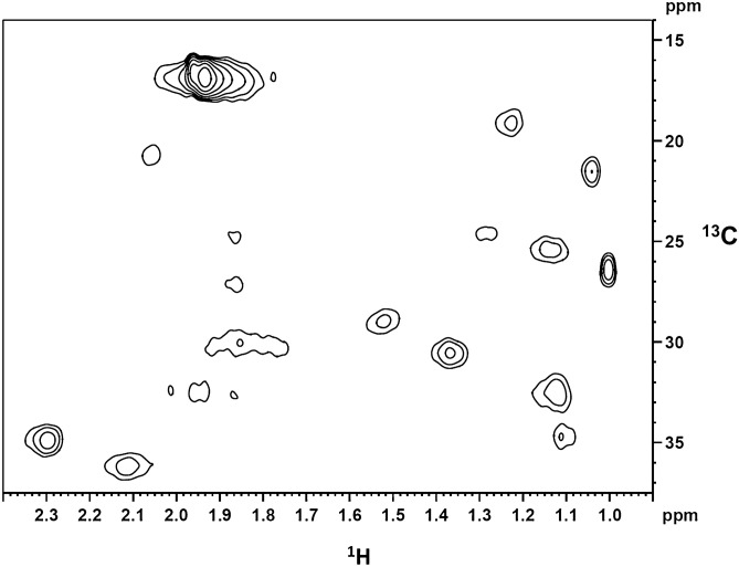 1H-13C HSQC spectrum of methionine-13C5-labeled CB2 in Facade-TEG/phospholipid/CHS micelles recorded at 15 °C. The selected spectral region shows the sidechain resonances of 13C-labeled methionine. Assignment was by comparison with a spectrum of unlabeled CB2. Cβ:1H (2.30 ppm, 2.12 ppm; 13C:35.0 ppm, 36.5 ppm), Cε: 1H: 1.9 ppm; 13C: 17.0 ppm).