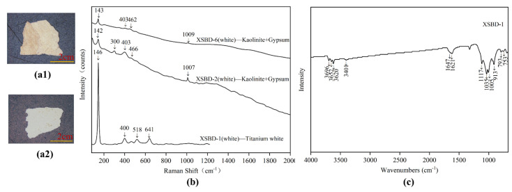 Digital microscopy (DM) of white pigment samples (a1) XSBD-1; (a2) XSBD-6, Micro-Raman spectroscopy; (b) XSBD-1; XSBD-2; XSBD-6 and FT-IR spectra; (c) XSBD-1.