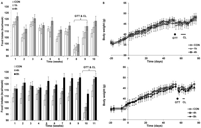 Cold exposure increases food intake, but not body weight.A: Caloric intake and B: body weight during ICE#1 (top) and ICE#2 (bottom) experiments were measured three times per week on days of cold exposure. Timing of the intra-peritoneal glucose tolerance tests (GTT) and CL316243 treatment (CL) are indicated. Data are mean ±SE, N = 8/group. The 8 h group had higher food intake as assessed by repeated measures ANOVA (p<0.05).