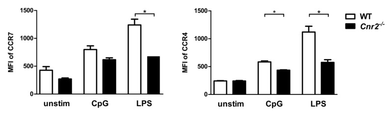 Reduced expression of the chemokine receptors CCR7 and CXCR4 on activated CB2-deficient BM-DCs. BM-DCs from WT (white bars) or Cnr2−/− (black bars) mice were cultured for 16 h in the absence (unstim) or presence of 1 nmol/mL CpG or 100 ng/mL lipopolysaccharide (LPS). Surface expression of CCR7 and CXCR4 was analyzed by flow cytometry. Data show median fluorescence intensity (MFI) ± SEM (n = 4–5 animals/group). * p < 0.05.