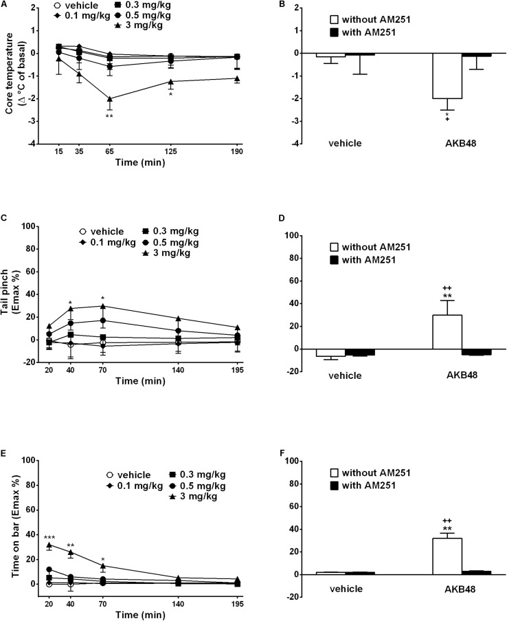Effect of the systemic administration (0.1–3 mg/kg i.p.) of AKB48 on the rat core temperature (A), on the tail pinch test (C) and on the bar test (E). Interaction of AKB48 (3 mg/kg) with the selective CB1 receptor antagonist AM251 (1 mg/kg) were reported in (B,D,F). Data are expressed (see section Materials and Methods) as the difference between control temperature (before injection) and temperature following drug administration (Δ°C of basal) and the percentage of maximum effect (Emax %; tail pinch and bar tests) and represent the mean ± SEM of 8 animals for each treatment. Statistical analysis was performed by two-way ANOVA followed by the Bonferroni’s test for multiple comparisons for the dose response curve of each test at different times (A,C,E) and for the interaction with AM251 (B,D,F). ∗p < 0.05, ∗∗p < 0.01, ∗∗∗p < 0.001 vs. vehicle and +p < 0.05, ++p < 0.01 vs. AM251 + AKB48.