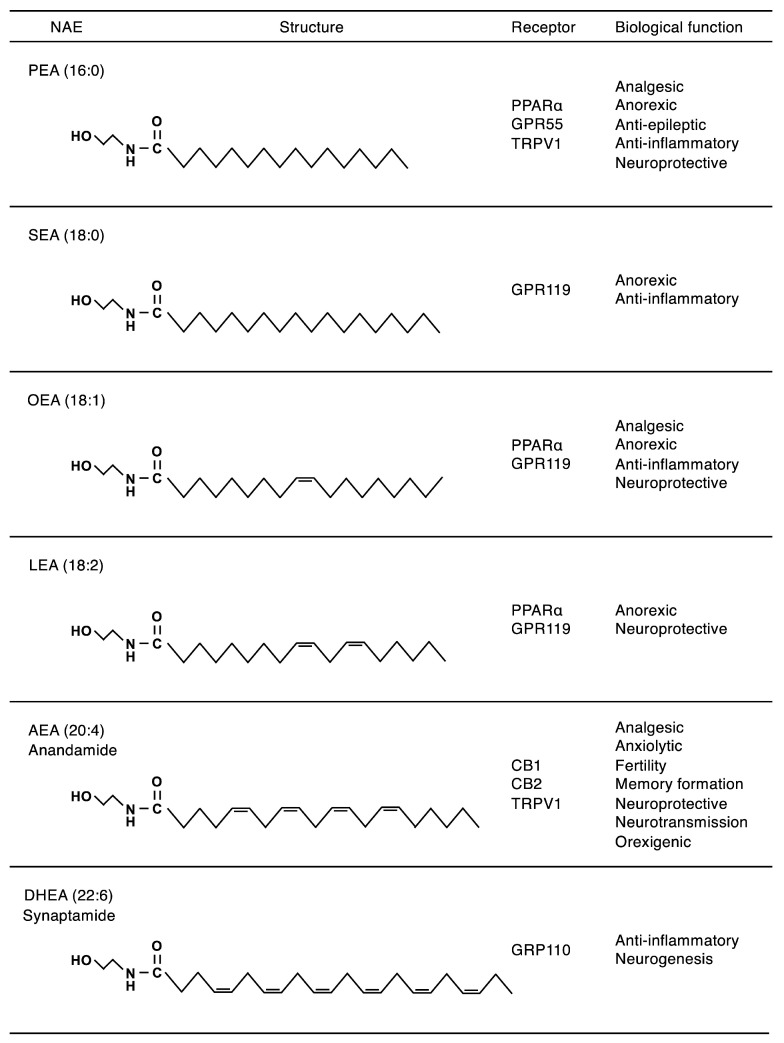 Structures, receptors, and functions of representative NAEs. For more details, please refer to previous reviews [1,2].