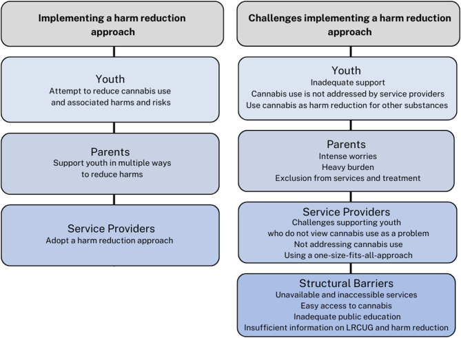 Themes and subthemes about approaches to reduce cannabis-related harms