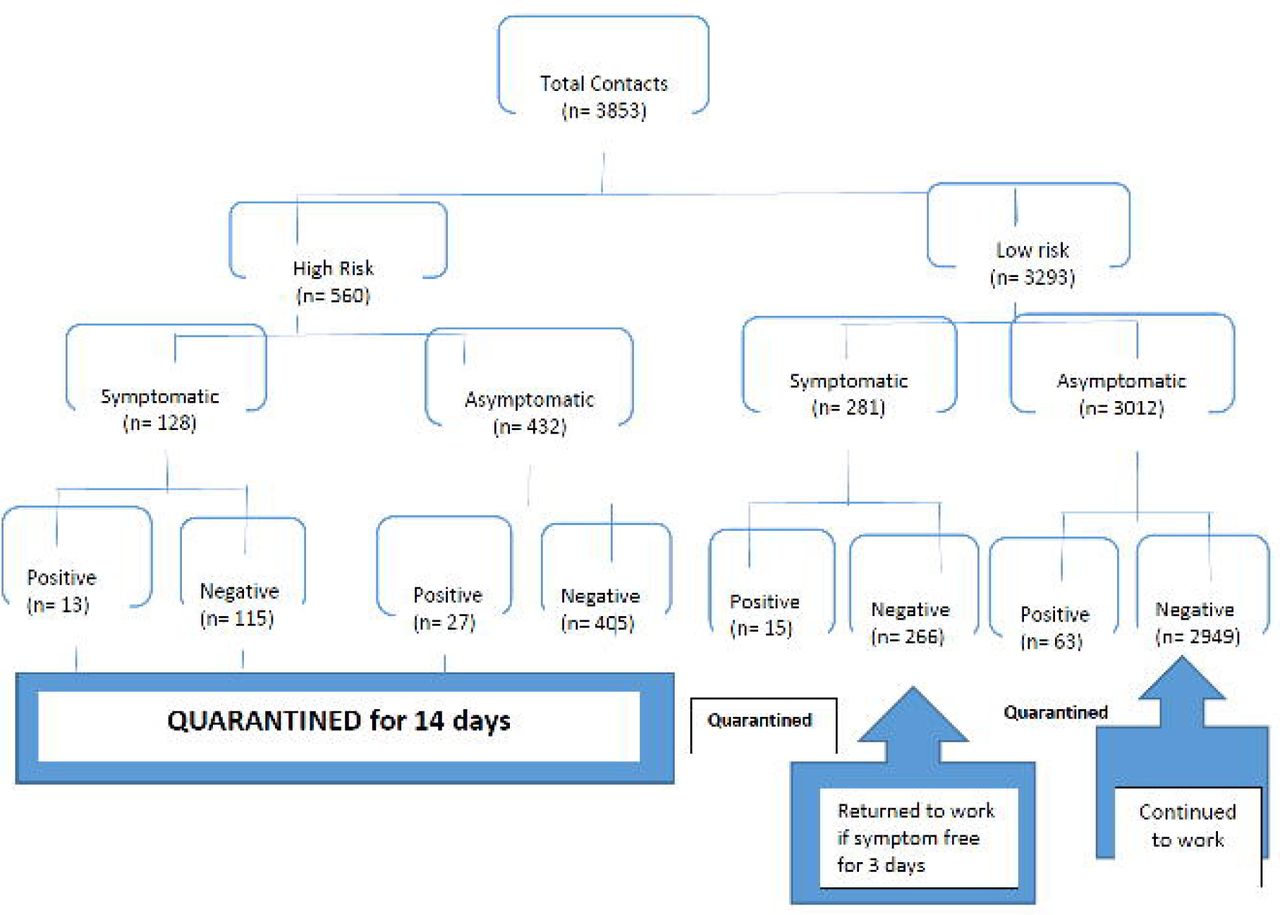 Flow diagram of contacts to COVID 19 cases follow up and quarantine