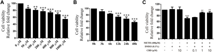 Cell viability of neurons incubated with different drugs. (A) Cell viability of neurons incubated with METH for 24 h at different concentrations (50, 100, 200, 400, 800, and 1,000 μM). (B) Cell viability of neurons incubated with 400 μM METH at different time points (3, 6, 12, 24, and 48 h). (C) Cell viability of neurons incubated with CBD (0.1, 1, and 10 μM) and/or METH (400 μM). * p < 0.05, ** p < 0.01, or *** p < 0.001 compared with control group, ## p < 0.01 compared with METH group; Tukey HSD post-hoc comparison after significant ANOVA.