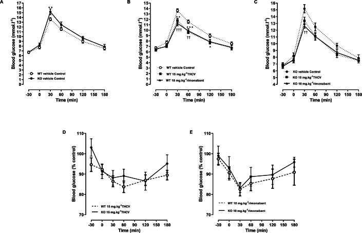 Glucose tolerance in GPR55 knockout and control mice on a high fat diet and treated with THCV or rimonabant.Blood glucose concentrations during an oral glucose tolerance test on day 21 are expressed as wild-type vs. knockout mice (A), THCV and rimonabant-treated wild-type and knockout mice as absolute values (B and C) and relative to the respective control group in wild-type (D) and knockout mice (E). Two-way ANOVA followed by the FDR test showed that both THCV and rimonabant improved glucose tolerance in wildtype mice. Neither THCV nor rimonabant had an overall significant effect on glucose tolerance in GPR55 knockout mice, although rimonabant lowered blood glucose 30 min after glucose load. No genotype differences were observed in the relative effects of either THCV or rimonabant. *P < 0.05; **††P < 0.01; ***†††P < 0.001.