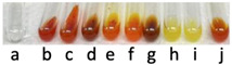 molecules-31-00796-i003.jpg