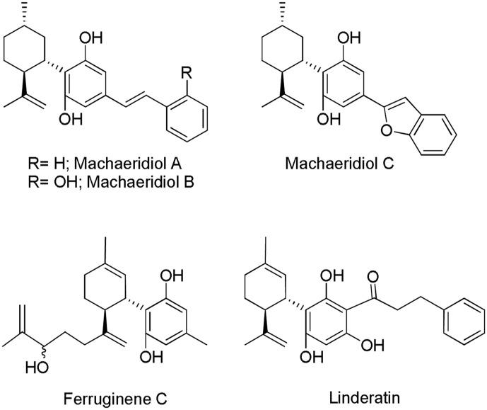 Cannabidiol (CBD)-related Machaerium multiflorum, Rhododendron ferrugineum L. and, Lindera umbellata Thunb. compounds.