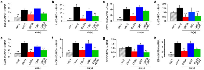 CBGA reduced the mRNA expression of inflammatory cytokines and proteins in cisplatin-induced acute nephropathy. The mRNA levels of TNFα (a), IL-6 (b), CXCL10 (c), IL-2 (d), ICAM-1 (e), MCP-1 (f), CRP (g) and ET-1 (h) were measured in kidneys of the cisplatin (+) group (black bars), the CBGA treatment group (red bars), the CBD treatment group (blue bars), and the CBGA + CBD treatment group (green bars) at day 3 (see numeric data in Supplementary Table S1). Shaded bars represent the non-cisplatin treatment group as a control group. *p < 0.05, **p < 0.01 vs. cisplatin (+) group.