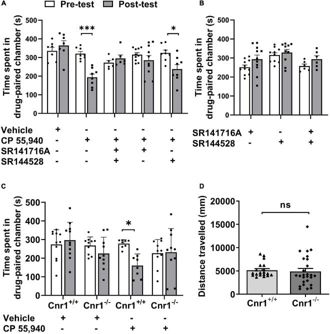 CP 55940-induced conditioned place aversion is prevented by the antagonism or systematic deletion of CB1 receptors. (A) Effects of antagonists of CB1R and CB2R (SR141716A and SR144528, respectively) on CP 55,940 conditioning. (B) Conditioning with SR141716A and SR144528 alone or in combination showed no place preference. (C) Effects of CB1R knockout on CP 55,940 conditioning. *P < 0.05, ***P < 0.001 (one-way ANOVA, Welch and Brown–Forsythe test). (D) Distances traveled in the conditioned place preference apparatus for Cnr1+/+ (n = 19) and Cnr1– /– mice (n = 26). ns, not statistically significant (Student’s unpaired t-test).