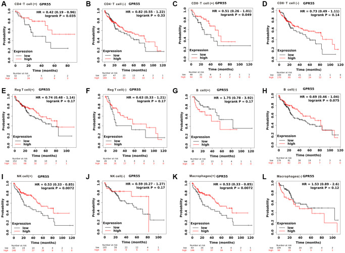 Total survival analysis of GPR55 expression in HCC with different immune cell subsets. (A, B) CD4+T cell. (C, D) CD8+T cell. (E, F) Reg T cell. (G, H) B cell. (I, J) NK cell. (K, L) Macrophages.