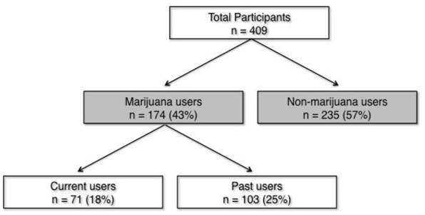Flowchart of study participants.