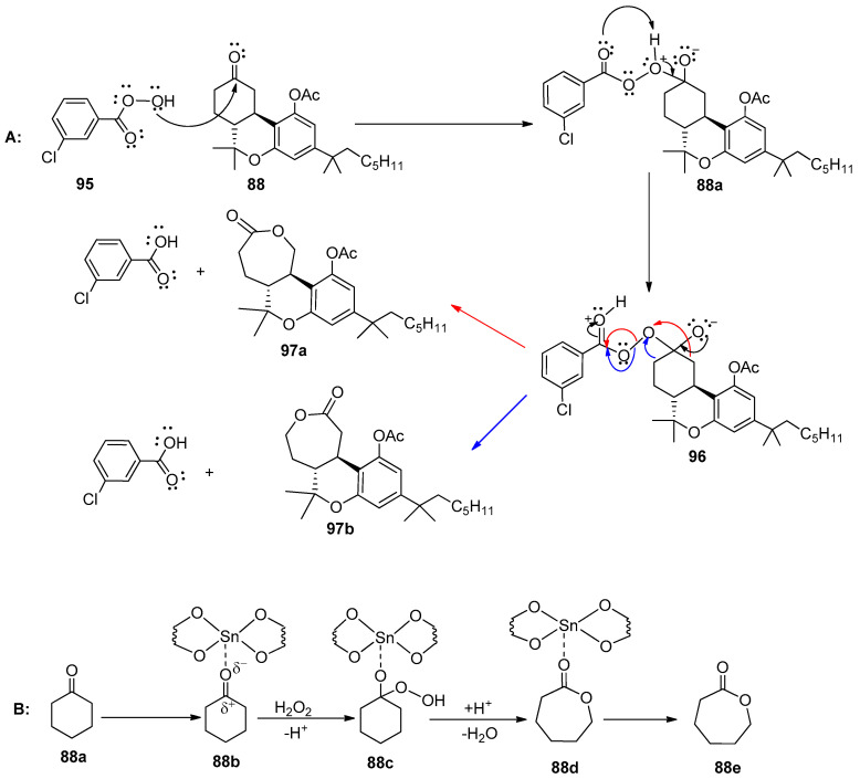 (A) Mechanism of Baeyer–Villiger oxidation/rearrangement in the presence of 3-chlorobenzoperoxoic acid (95) to generate regioisomeric cannabinergic C-ring lactones 97a and 97b. (B) Mechanism of Baeyer–Villiger oxidation/rearrangement in the presence of aqueous hydrogen peroxide as an oxidant and Sn-zeolite as a catalyst.