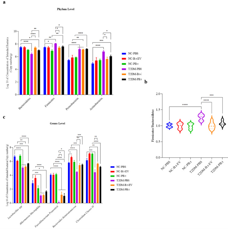 The effect of PB.t and B.t-EVs on the fecal targeted gut microbiota. (a) Gut microbiome composition at the phylum level, (b) Ratio of Firmicutes to Bacteroidetes, and (c) Gut microbiome composition at the genus/species level. Data are expressed as mean ± SEM (standard error of mean) (n = 8/group); *, P < 0.05; **, P < 0.01; ***, P < 0.001; ****, P < 0.0001 by post hoc Bonferroni's One-way analysis of variance (ANOVA).Groups categories: NC-PBS (normal control rats gavaged with PBS); NC-B.t-EV (NC gavaged with Bacteroides thetaiotaomicron (B.t)'s Extracellular Vesicles); NC-PB.t (NC gavaged with Pasteurized B.t); T2DM-PBS (type 2 diabetes mellitus gavaged with PBS); T2DM-B.t-EV (T2DM rats gavaged with B.t-EV); T2DM-PB.t (T2DM rats gavaged with PB.t).