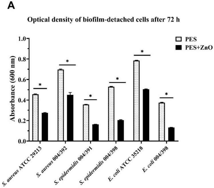 Effect of ZnO addition to PES on biofilm formation. Bacterial strains were grown on PES both in absence or presence of zinc oxide for 72 h. The histograms represent the OD600 values of biofilm detached cells (A) and viable bacteria (CFUs/mL) recovered from biofilms (B) for each bacterial strain, in the two experimental conditions. The bars represent the means ± SD of three independent experiments performed in triplicate (S.D. = standard deviation). Statistically significant differences, determined by two-way analysis of variance ANOVA, are indicated by *p < 0.0001 PES/ZnO vs. PES.