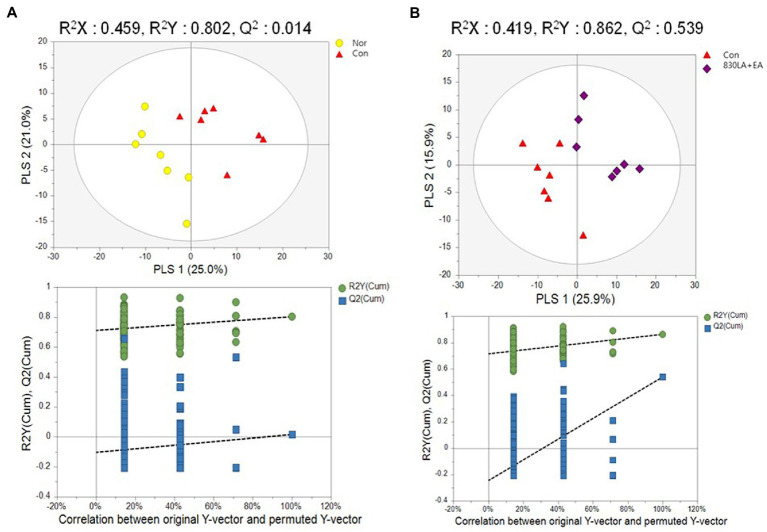 A PLS-DA score plot in rats with paclitaxel-induced allodynia according to type of acupuncture treatment. The Nor and the Con group show a tendency to separate, but the permutation test revealed no significant difference (Q2 = 0.0145, A). The PLS-DA result showed a pattern of separation between the Con group and the 830LA + EA group, and the permutation test showed a significant difference (Q2 = 0.5399, B). EA, electro acupuncture; LA, laser acupuncture; Nor, normal; Con, control.