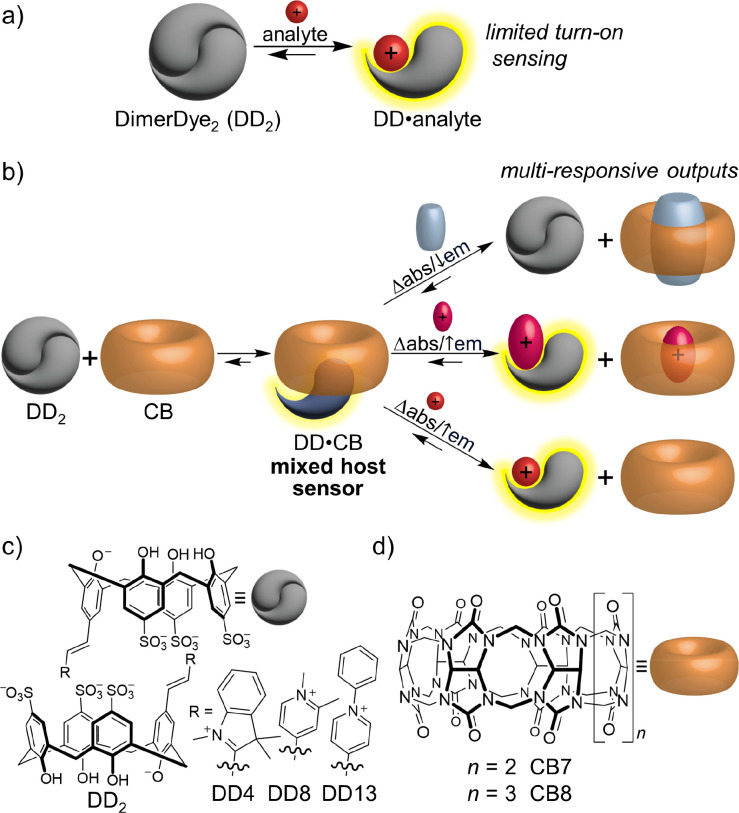 A mixed host chemosensor produces multi-responsive outputs, increasing the scope of analyte detection. (a) Schematic of DimerDye disassembly-driven turn-on fluorescence sensing of cationic analytes. (b) This work establishes mixed host co-assembled chemosensors that produce multi-responsive outputs for a wide range of hydrophobic, neutral, and cationic analytes. DimerDye complexation with cucurbit[n]uril forms a mixed host chemosensor with moderate changes in absorbance/fluorescence. The subsequent addition of an analyte that favors cucurbit[n]uril binding produces a change in absorbance and/or turn-off fluorescence, whereas an analyte that prefers DimerDye binding results in a change in absorbance and/or increased fluorescence. The schematic shown represents the expected behaviors for CB7, while additional higher-order complexes are possible for CB8. Structures of (c) DimerDye host chemosensors DD4, DD8, and DD13, and (d) cucurbit[n]uril hosts CB7 and CB8 used in this work.