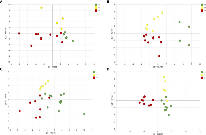 Orthogonal partial least square analysis-discriminant analysis of GC-MS analysis of four Cannabis sativa L. cultivars based on ploidy levels (A) cultivar A: Q2 0.24, (B) cultivar B: Q2 0.44, (C) cultivar C: Q2 0.04 and (D) cultivar D: Q2 0.27.