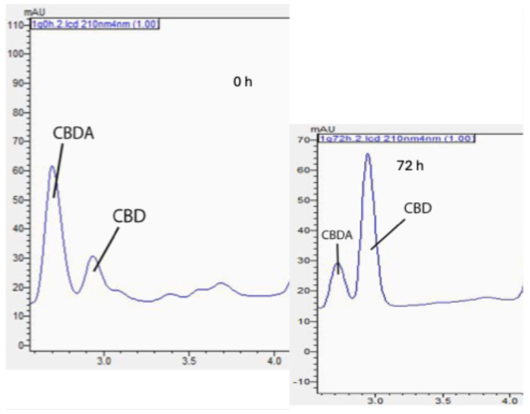 Chromatographic changes in CBDA and CBD after 72 h of thermal treatment on WSM-MD-GA 1:5 particles.