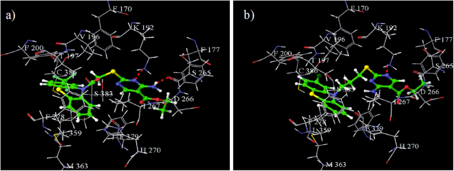 Binding interactions of (a) active compound (25), and (b) less active compound (47) in the active site of CB1 receptor (red dotted line represents hydrogen bond).