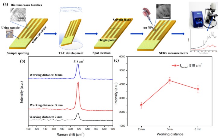 (a) Process of TLC-SERS detection of THC from urine samples via a portable Raman spectrometer. (b) The Raman spectra of a Si wafer at various working distances from the fiber tip, and (c) intensities versus different working distances using the IRaman peak at 518 cm−1.