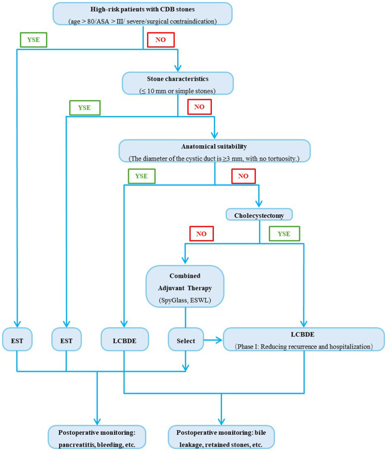 Flowchart for managing high-risk patients with common bile duct stones. It outlines decision pathways based on stone characteristics and anatomical suitability, leading to different treatments: endoscopic sphincterotomy (EST), laparoscopic common bile duct exploration (LCBDE), or combined adjuvant therapy. Postoperative monitoring addresses issues like pancreatitis, bleeding, bile leakage, and retained stones. Alternative pathways depend on specific conditions like cholecystectomy.