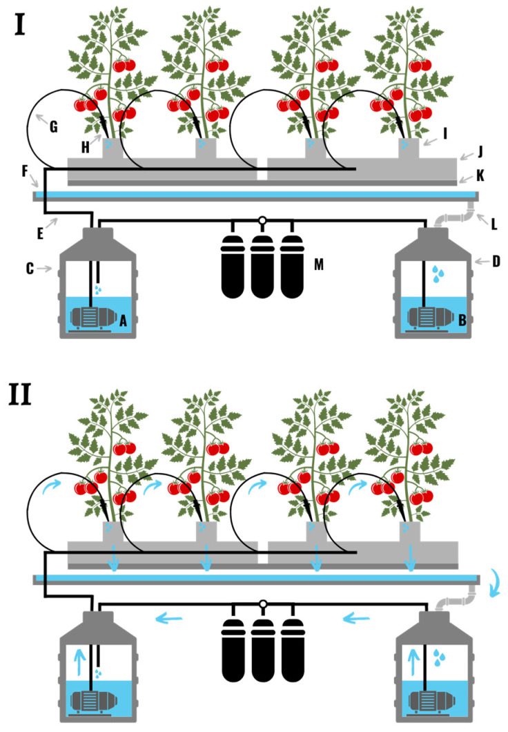(I) A drip irrigation system comprised of water pumps (A,B), two reservoirs (C,D), a watering line/pipe (E), a drain trough (F), drip lines (G), drip stakes (H), a smaller grow media cube than the transplanted plant was propagated in (I), a large grow media slab (J), a platform (K), a drainpipe (L), and a water purification system (M). (II) Several times a day water is pumped from the storage reservoir, through the drip lines and over the roots of the plants. The nutrient solution that runs off the roots of the plant is usually filtered and sterilized to eliminate any pathogens prior to recirculation. The nutrients content of the collected nutrient solution is then adjusted back to desired levels before it is recirculated back onto the plants. In non-recirculated systems water is collected in a drainage trough and fed back to a central reservoir. The nutrient solution is then filtered and sterilized to remove particulates and pathogens.
