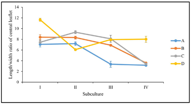 Effect of the number of subcultures (i.e., I, II, III, and IV) and the source of explants on length/width ratio of the central leaflet. The explants derived from the basal, near-basal, middle, and apical parts are respectively been illustrated as A, B, C, and D. Error bars represent standard error.