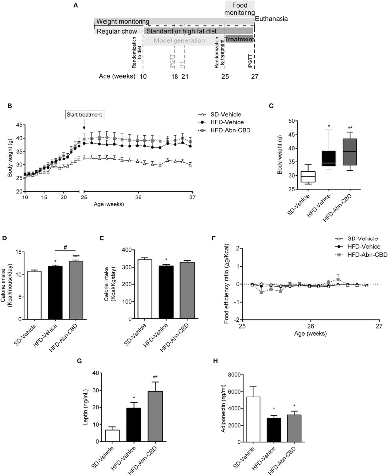 Effect of Abn-CBD on body weight and food intake. Mice fed a standard diet (SD) or high fat diet (HFD) for 15 weeks were randomized to vehicle or Abn-CBD for further 2 weeks (A). Body weight was measured weekly during the first 15 weeks and daily during treatment (B). (C) Body weight after the 2-week treatment with vehicle or Abn-CBD. (D) Average of daily calorie intake per mouse and (E) per Kg of weight during the 2-week treatment and (F) food efficiency. Leptin (G) and adiponectin (H) plasma levels at the end of the study. Data show mean ± S.E.M except (C) that shows median ± min to max. n = 6 SD-Vehicle, n = 7 HFD-Vehicle and n = 8 HFD-Abn-CBD. *p ≤ 0.05, **p ≤ 0.01, and ***p ≤ 0.001 compared to SD-Vehicle; #p ≤ 0.05 compared to HFD-Vehicle.