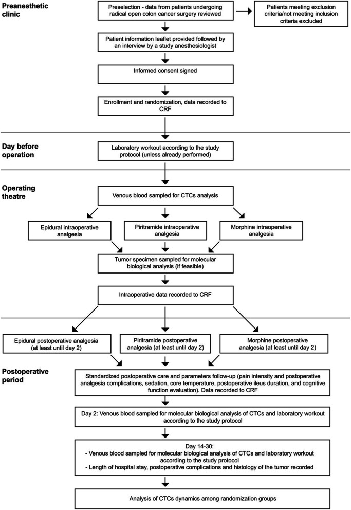 Study flowchart