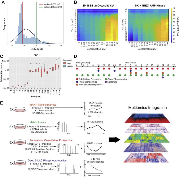 FRET biosensor screening strategy for dose and time selection of multiomic CBD perturbation analysis.A, EC50 distribution of CBD treatment across all sensors and time points (see also supplemental Table S1 for list of sensors). Dose–response curves were fit to determine EC50 values (R2 values >0.75). B, heatmaps of FRET biosensor responses to CBD treatment for cytosolic Ca2+ and AMPK activity in SK-N-BE(2) cells, displaying FRET ratio over time at CBD doses from 343 nM to 100 μM. C, relative abundance of CBD over time from metabolomic profiling of SK-N-BE(2) cells treated with 20 μM CBD. D and E, time-course schematic of multiomic experimental strategy. AMPK, AMP-activated protein kinase; CBD, cannabidiol.