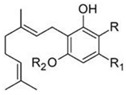 molecules-27-03301-i004.jpg