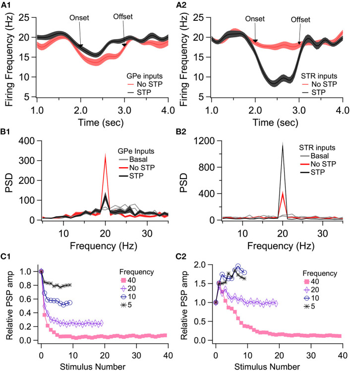 Effect of short term plasticity (STP) on EP firing frequency and phase locking. EP neurons were simulated in response to log normally distributed GPe (18 Hz), SPN (4 Hz), and STN (18 Hz) synaptic input, with an additional 20 Hz train from either GPe (A1, B1) or Str (A2, B2) delivered between 2 and 3 s (marked by arrows labeled onset and offset). (A) Effect of STP on EP firing frequency. STP reduced the effect of 20 Hz GPe inputs on EP firing and enhanced the effect of 20 Hz Str inputs on EP firing. Shading shows +/– 1 SEM. (B) Amplitude of the PSD peak at 20 Hz (PSD calculated from the data segment between 2 and 3 s) shows that STP reduced phase locking to GPe inputs but increased phase locking to Str inputs. Basal shows the PSD measured from the same simulations using data segments from 1–2 to 3–4 s. (C1, C2) The STP implemented in the model produces similar frequency dependence of PSP amplitude as recorded experimentally.