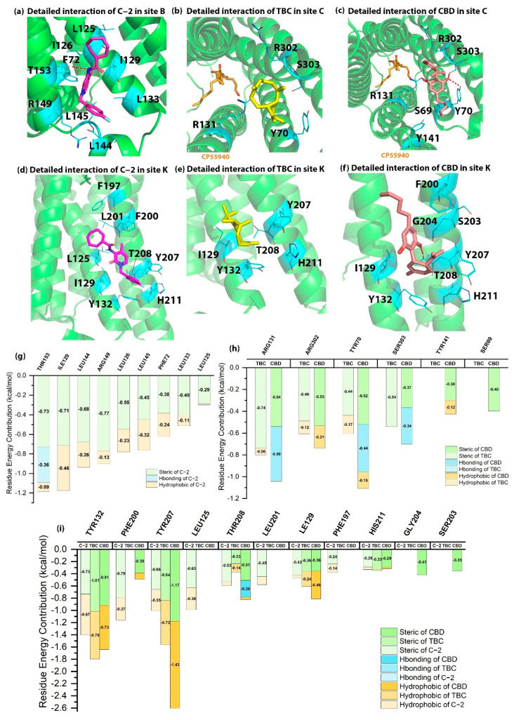 The detailed interactions and residue energy contribution of C-2, TBC and CBD in sites B, C and K. (a) The detailed binding pose of C-2 in site B. (b) The detailed binding pose of TBC in site C. (c) The detailed binding pose of CBD in site C. (d) The detailed binding pose of C-2 in site K. (e) The detailed binding pose of TBC in site K. (f) The detailed binding pose of CBD in site K. (g) The residue energy contribution of key residues for C-2 in site B. (h) The comparisons of residue energy contribution of key residues for TBC and CBD in site C. (i) The comparisons of residue energy contribution of key residues for C-2, TBC and CBD in site K.